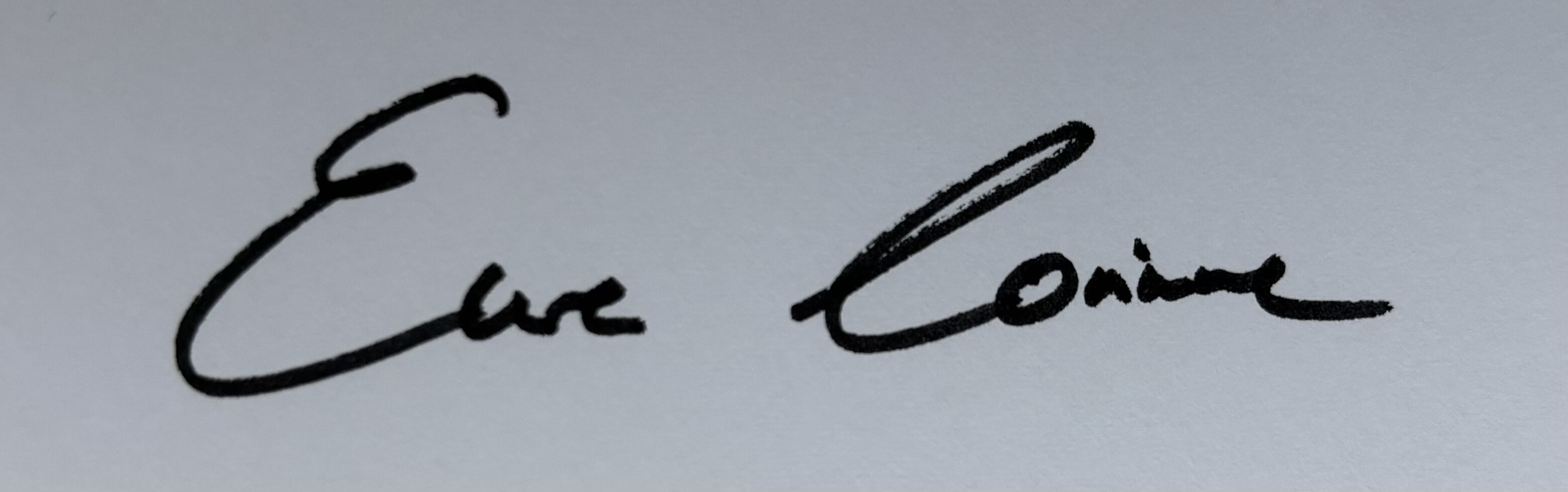 Unterschrift (eingescannt)